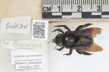 Media type: image;   Entomology 813878 Aspect: labels